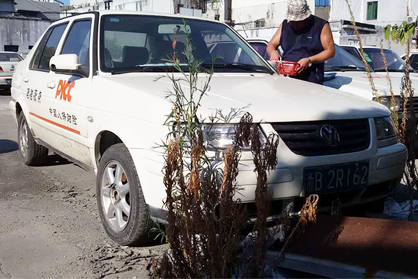 大众浙B2R162捷达牌小型轿车|诚拍网